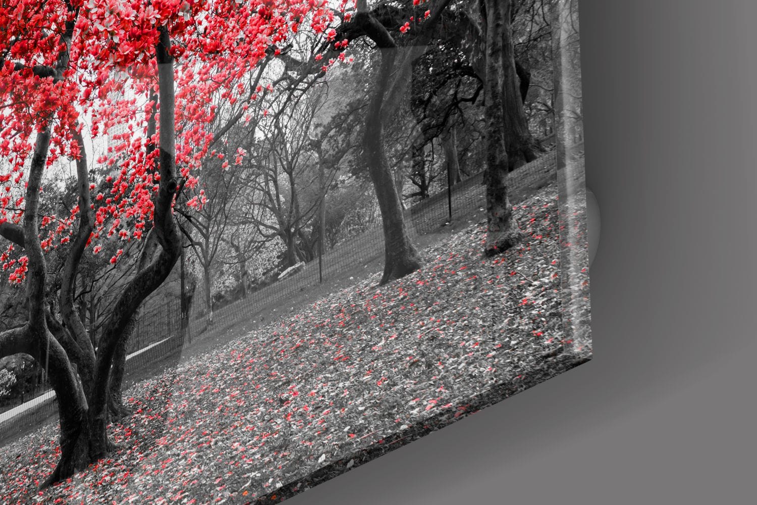 Artronauts Glass Print Red Leaves