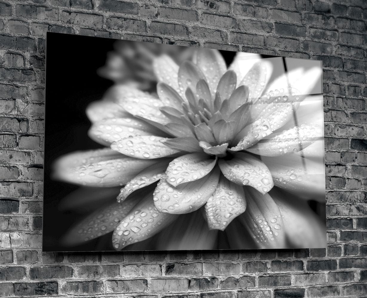 Artronauts Art Clearance T. The Flower