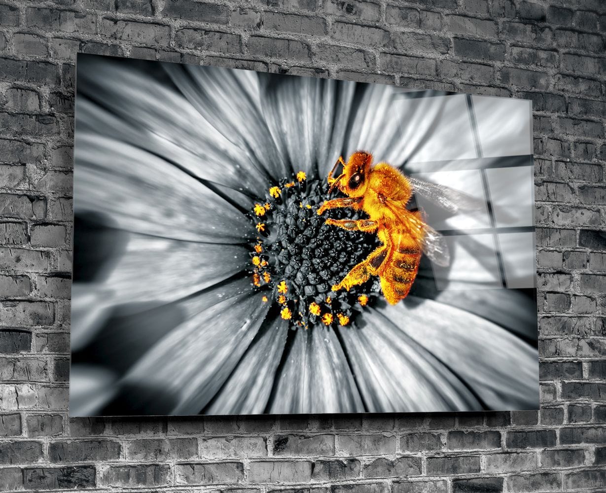 Artronauts Art Clearance T. Honey Bee