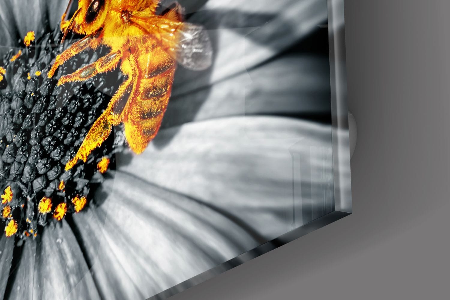 Artronauts Art Clearance T. Honey Bee