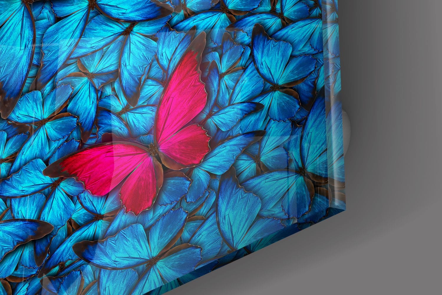 Artronauts Art Glass Print Butterflies