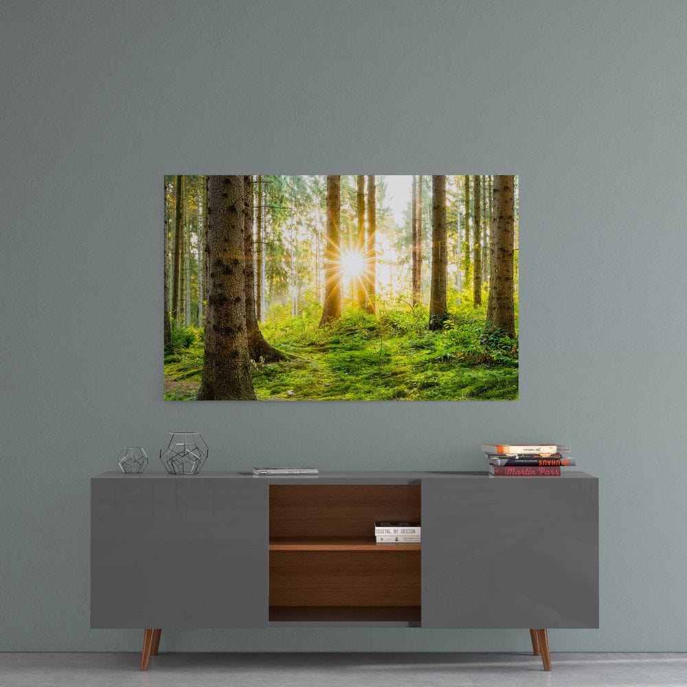 Artronauts Clearance T. The Forest