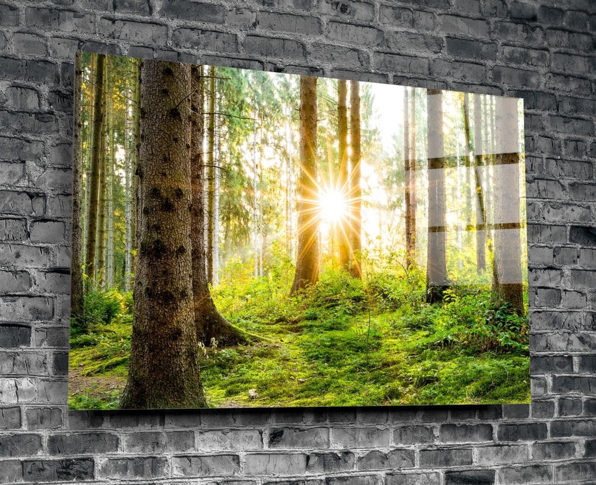 Artronauts Clearance T. The Forest