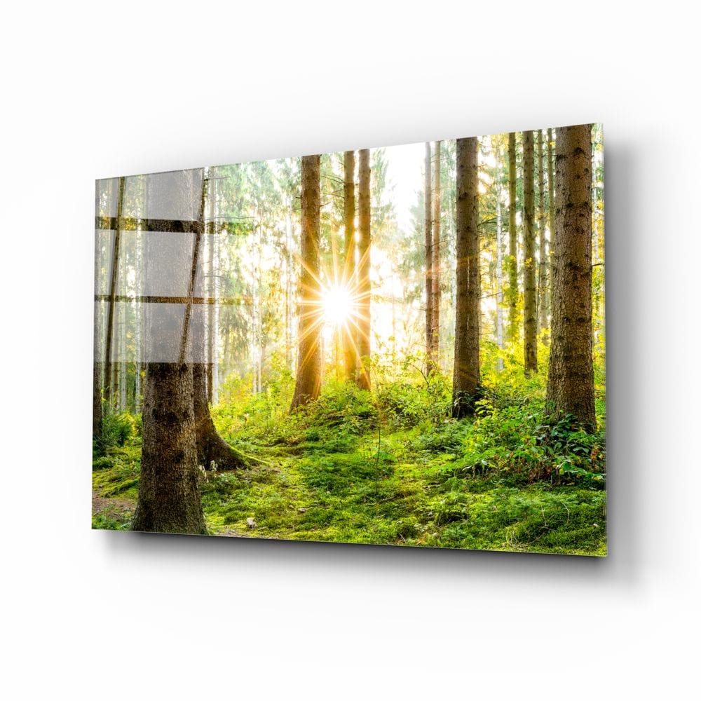 Artronauts Clearance T. The Forest