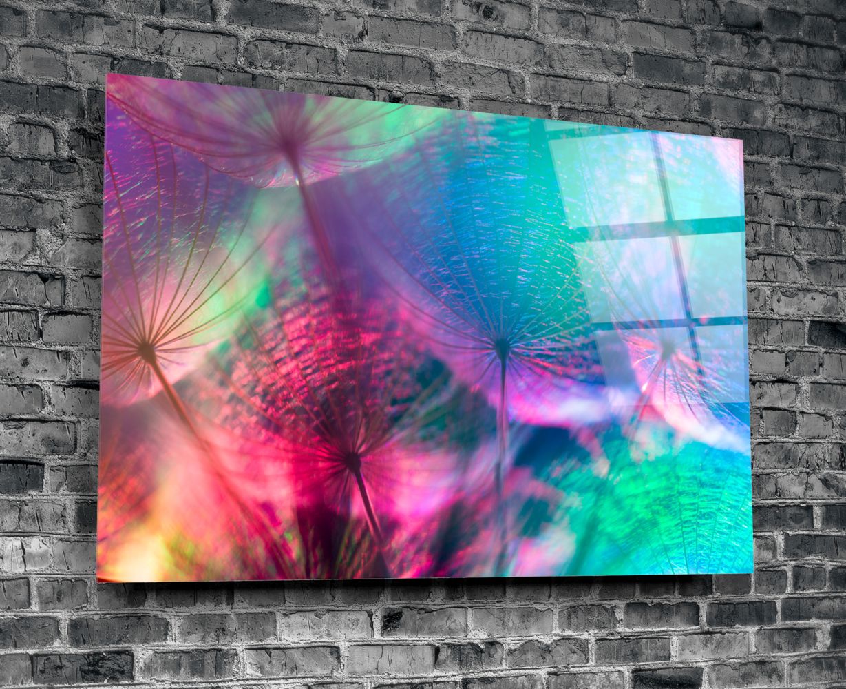 Colourful Dandelion