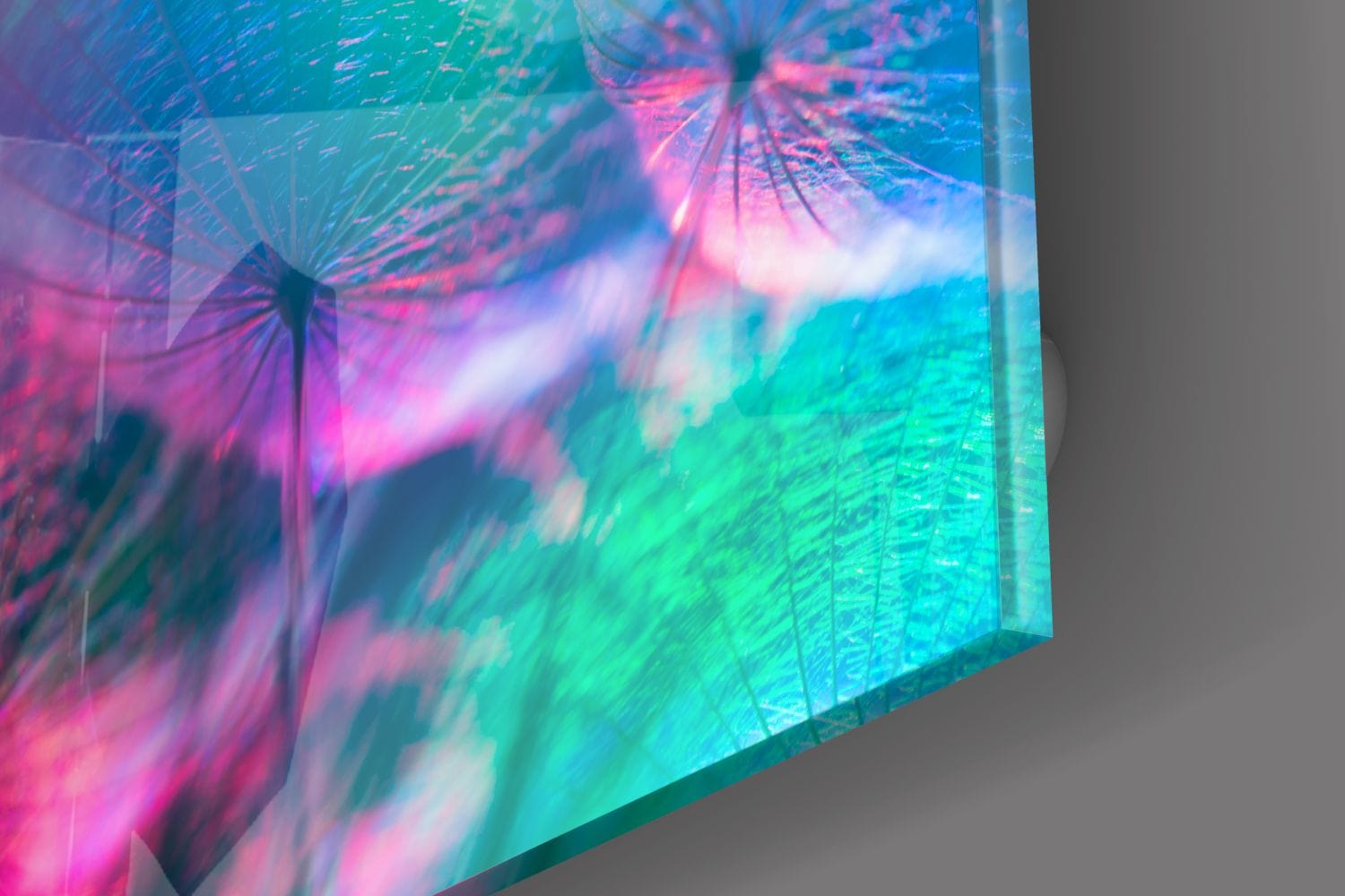 Artronauts Glass Print Colourful Dandelion