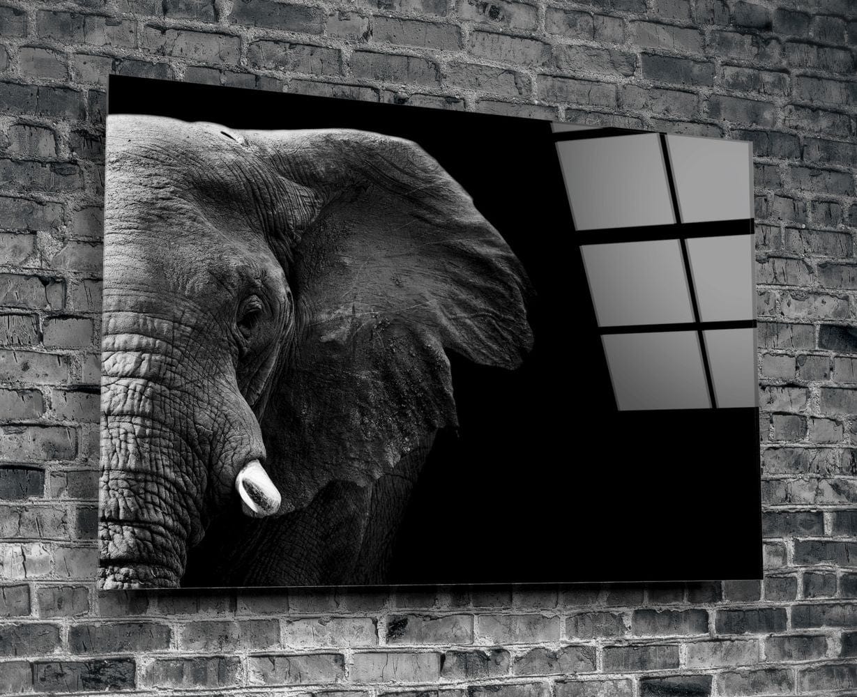 Artronauts Glass Print Elephant