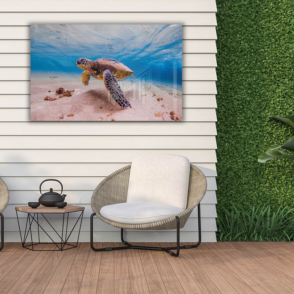 Artronauts Art Clearance T. Sea Turtle