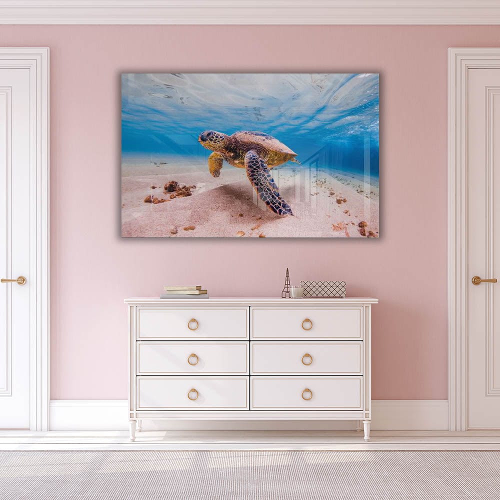 Artronauts Art Clearance T. Sea Turtle