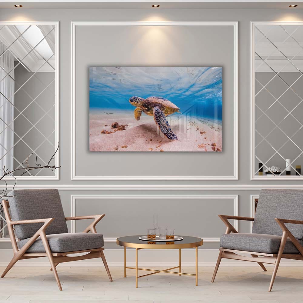 Artronauts Art Clearance T. Sea Turtle