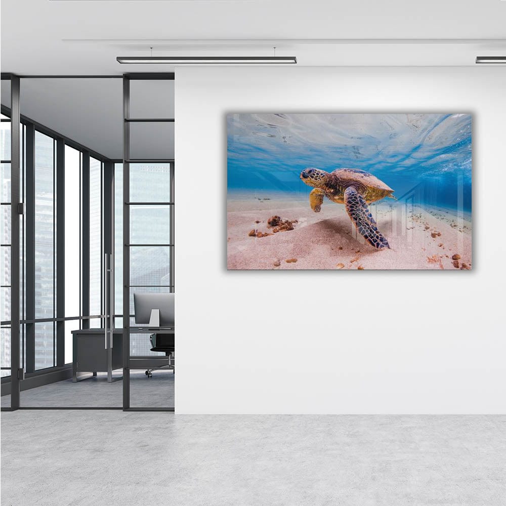 Artronauts Art Clearance T. Sea Turtle