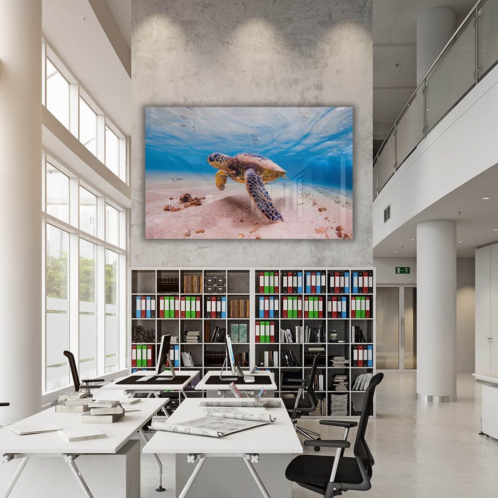 Artronauts Art Clearance T. Sea Turtle