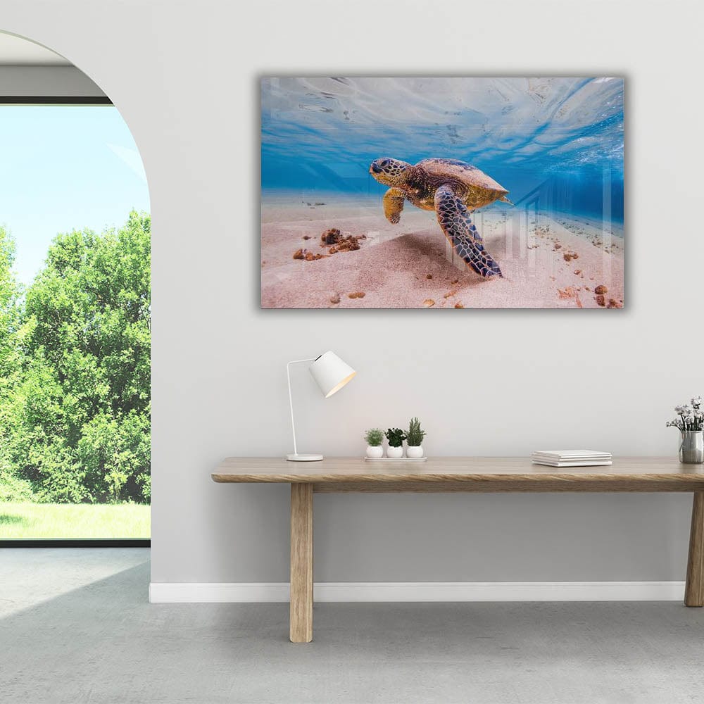 Artronauts Art Clearance T. Sea Turtle