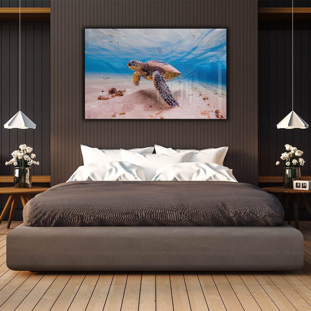 Artronauts Art Clearance T. Sea Turtle