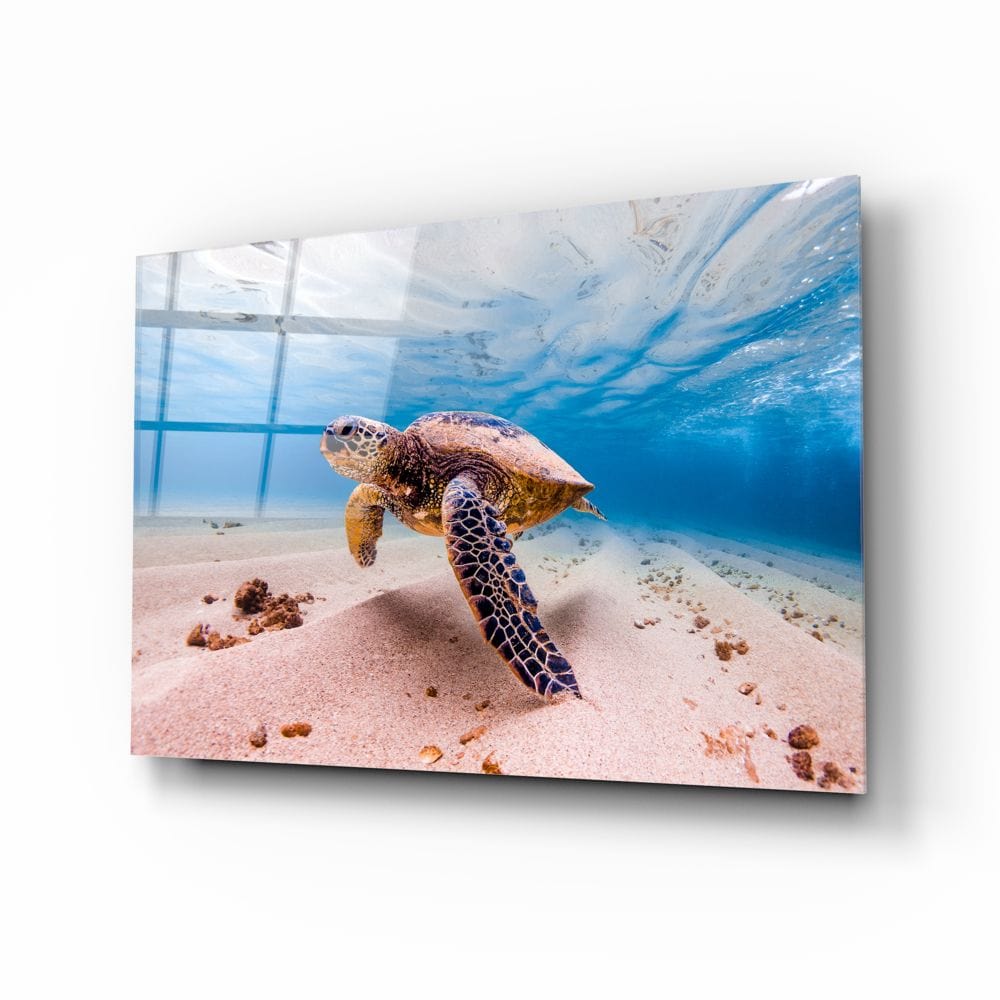 Artronauts Art Clearance T. Sea Turtle