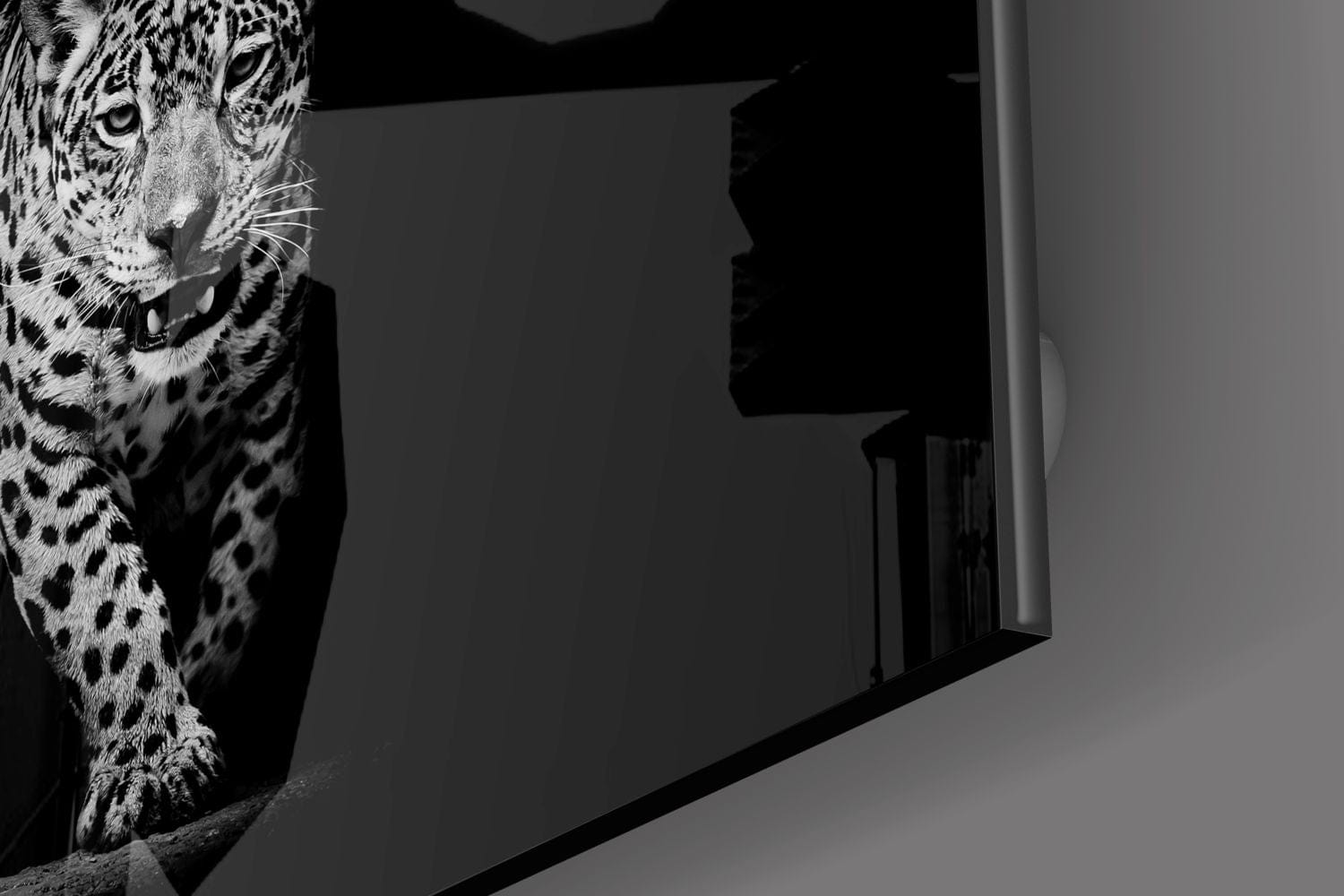 Artronauts Clearance T. Leopard Black & White