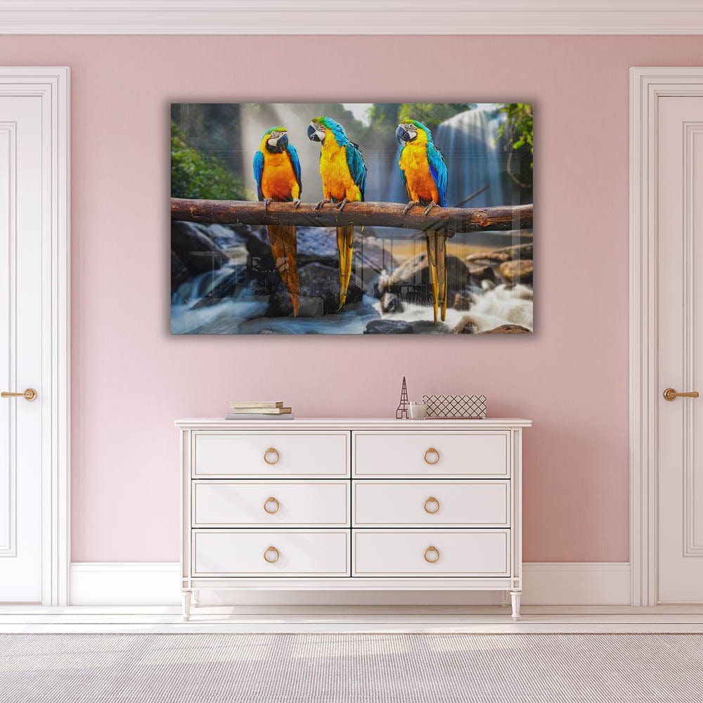 Artronauts Clearance T. Parrots
