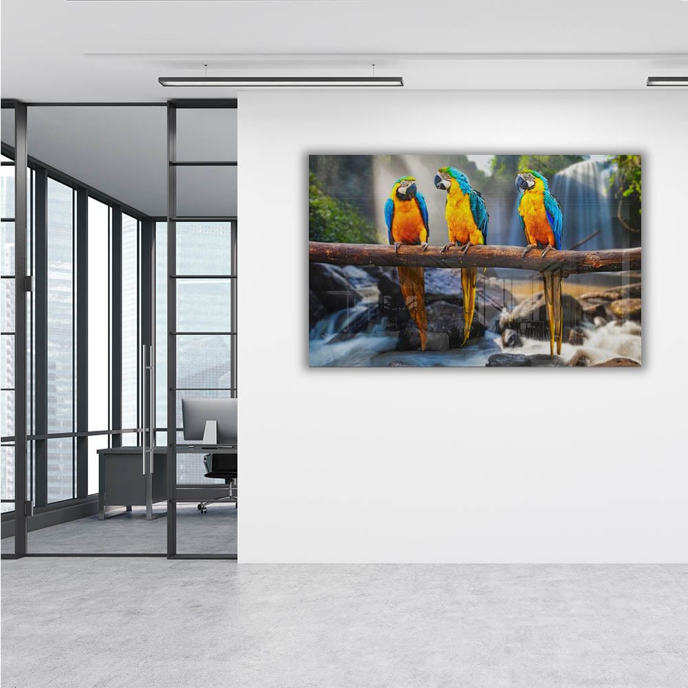 Artronauts Clearance T. Parrots