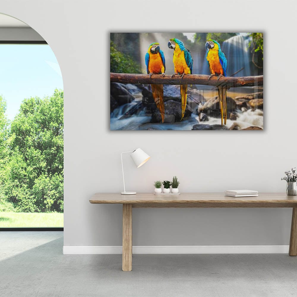 Artronauts Clearance T. Parrots