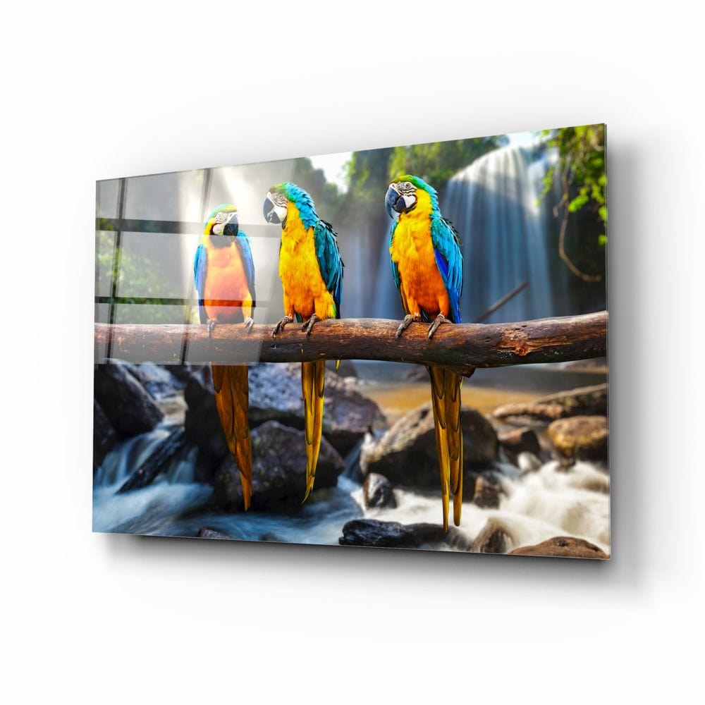 Artronauts Clearance T. Parrots