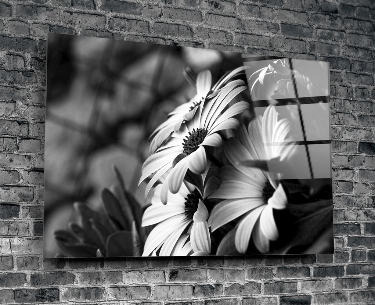 Artronauts Art Clearance T. Black - White Flower