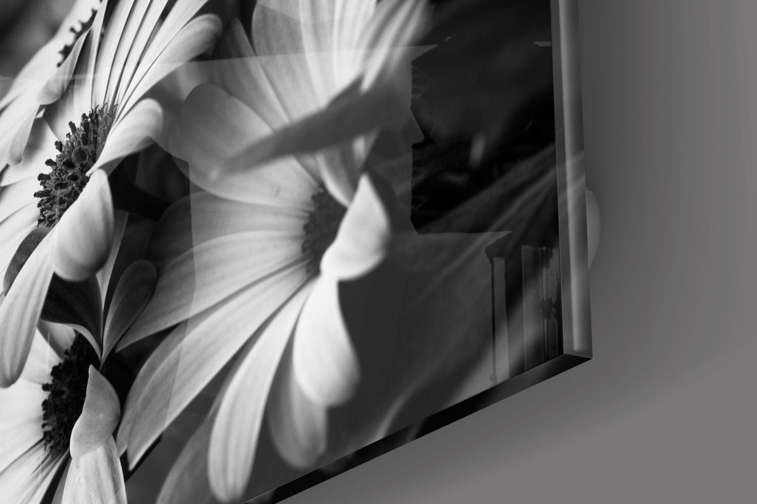 Artronauts Art Clearance T. Black - White Flower