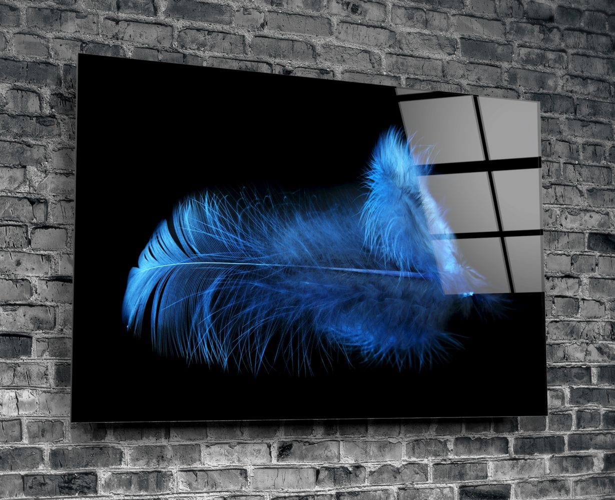 Artronauts Art Clearance T. Blue Feather