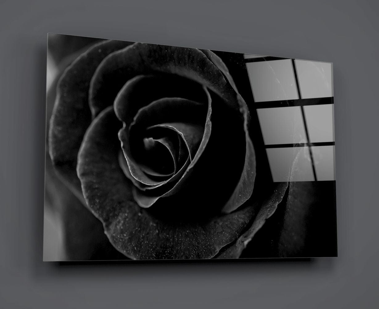 Artronauts Clearance T. Black Rose