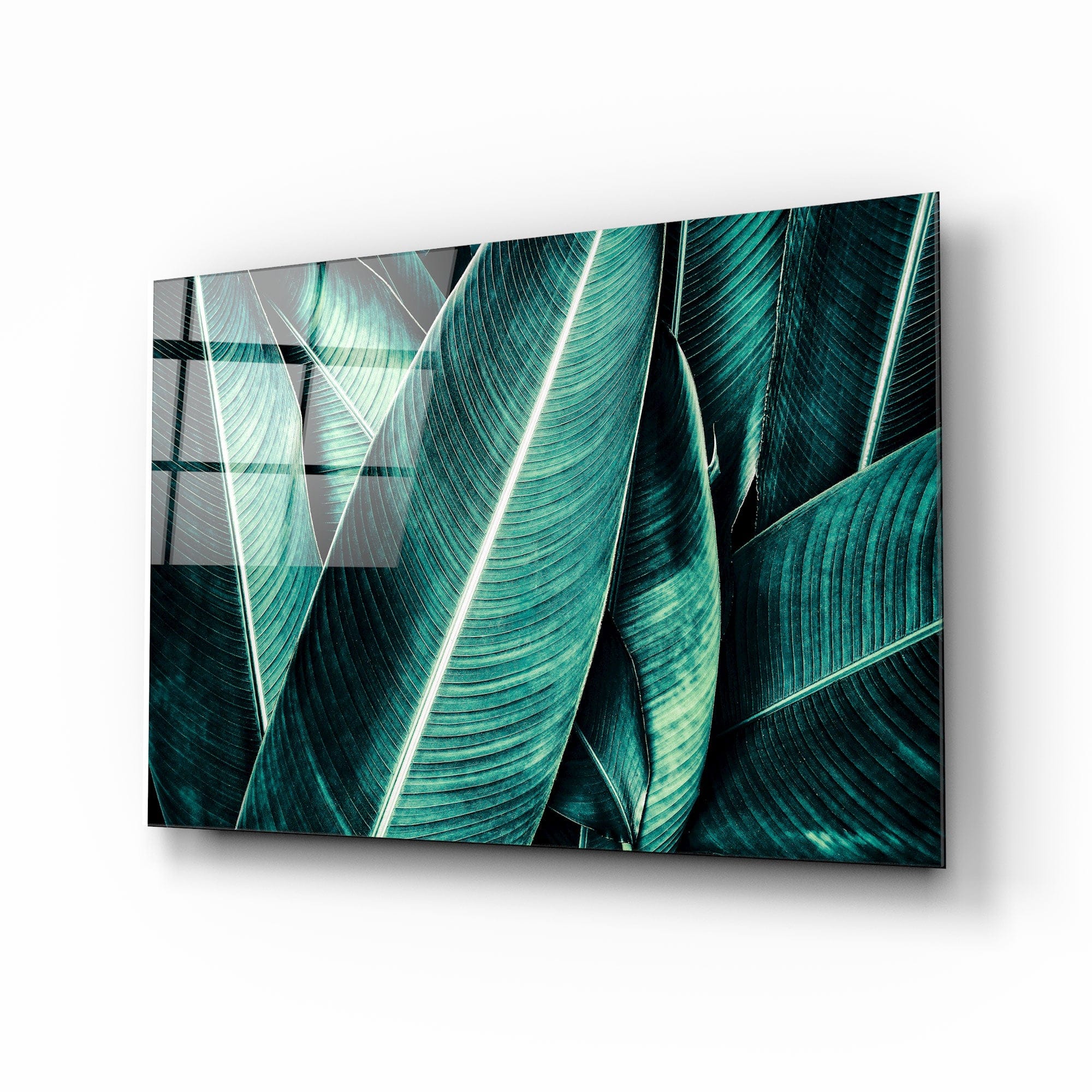 Artronauts Art Clearance T. Leaves