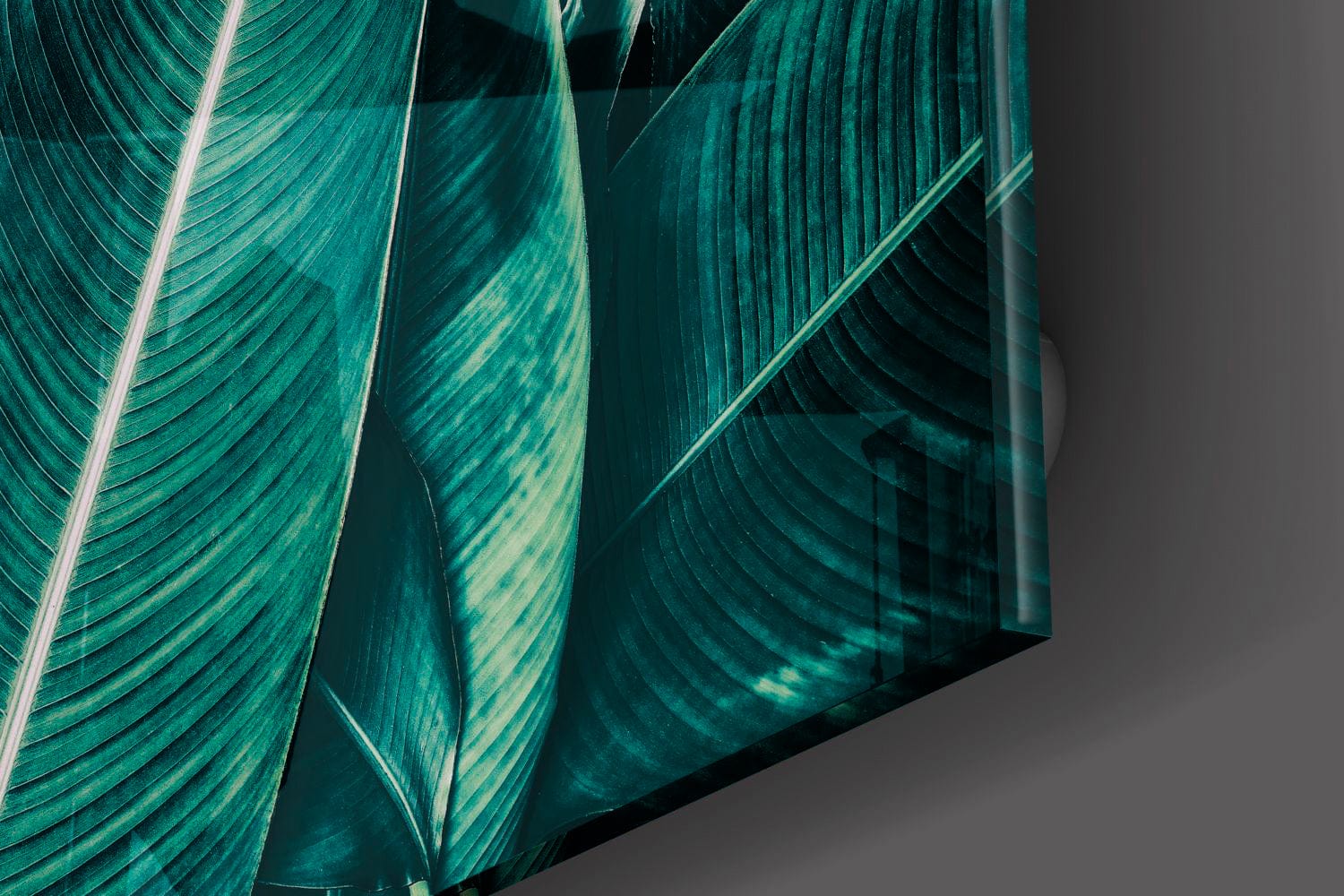 Artronauts Art Clearance T. Leaves