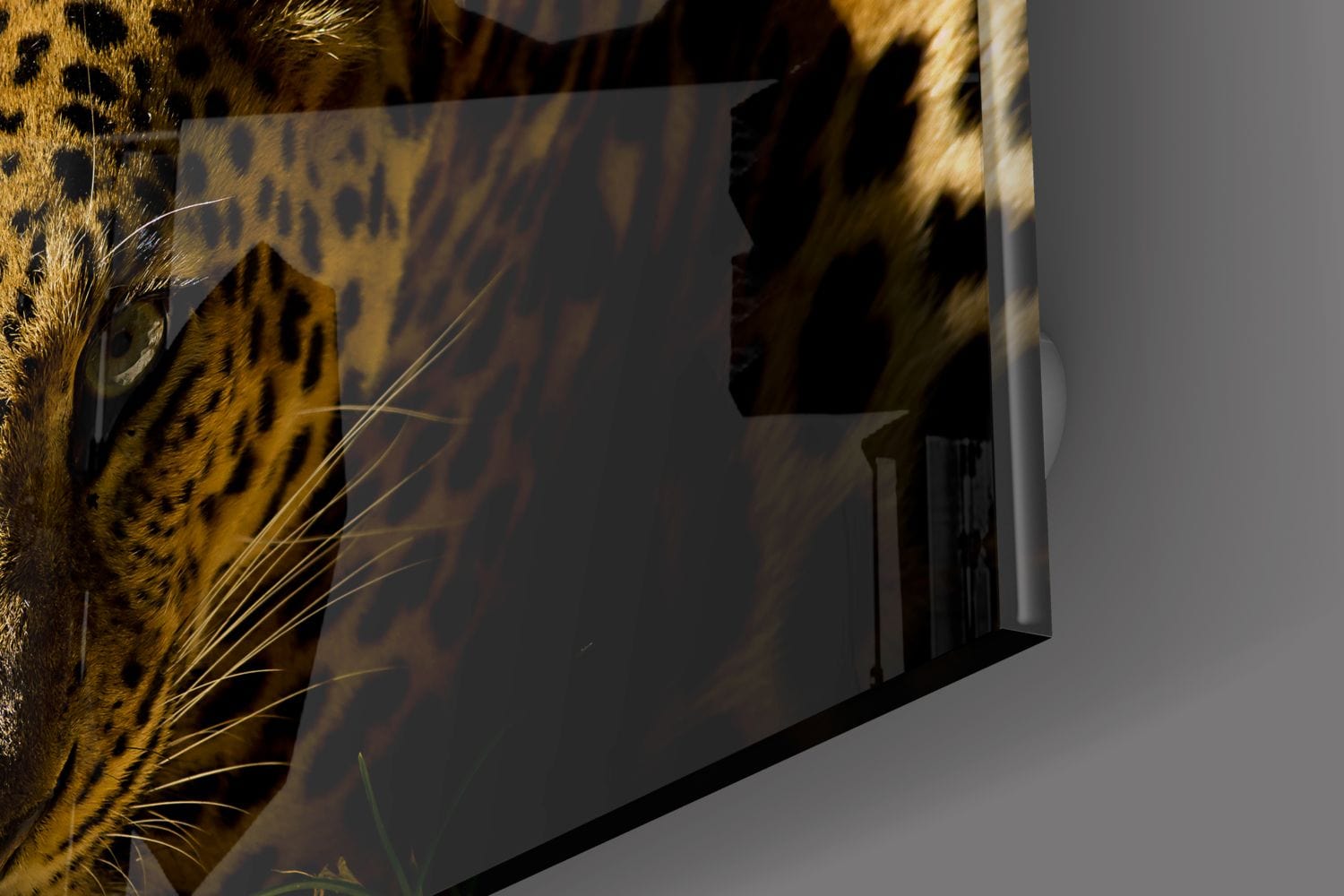 Artronauts Glass Print The Leopard