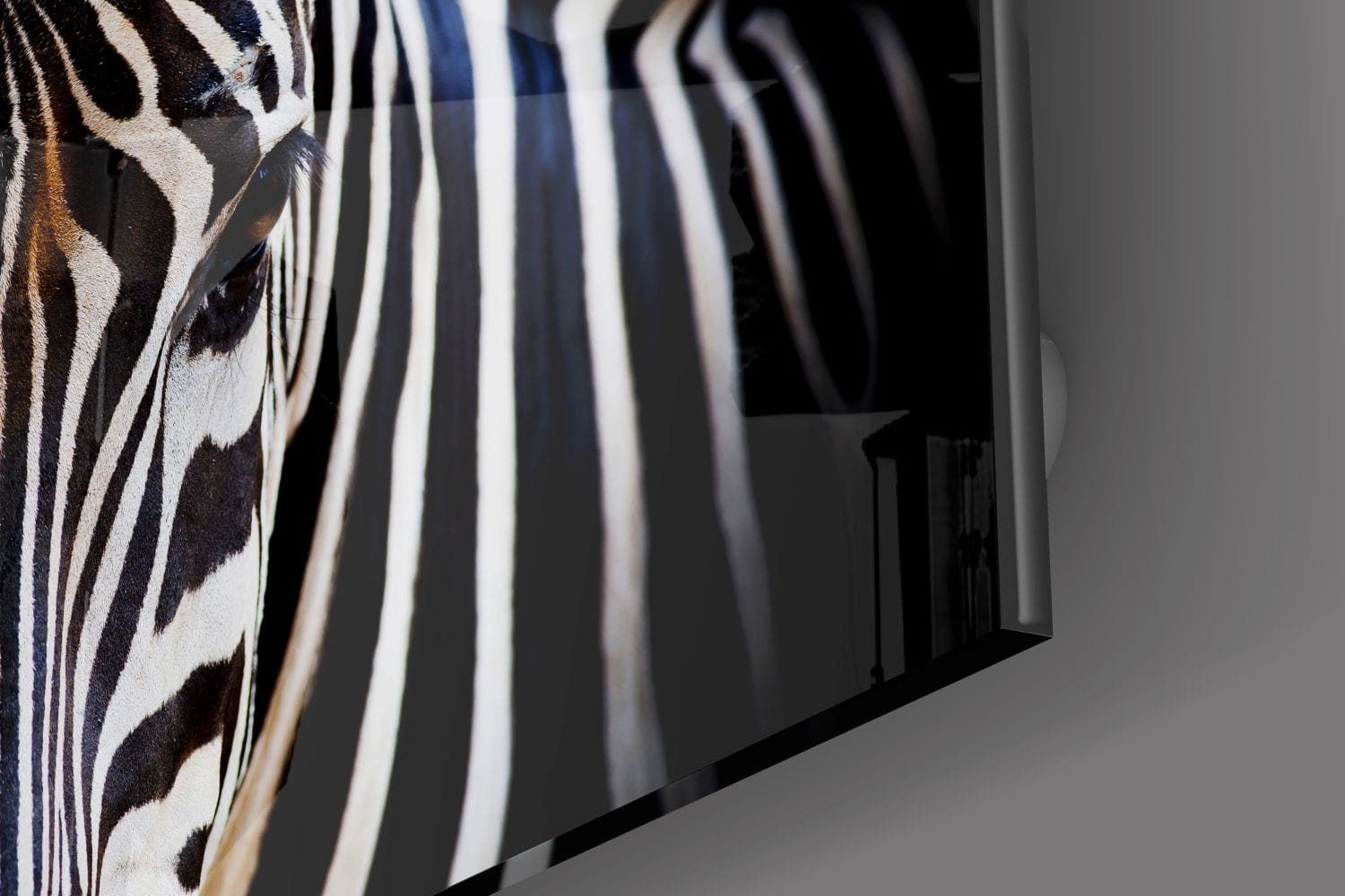 Artronauts Glass Print Zebra