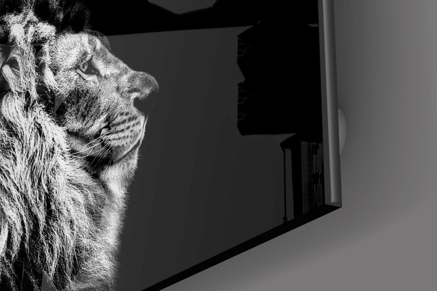 Artronauts Art Clearance T. Lion Black&White