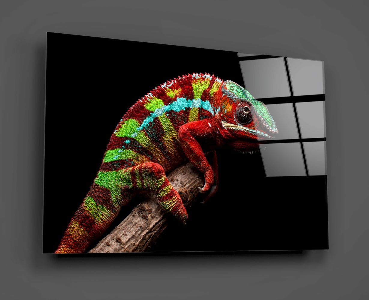Artronauts Art Clearance T. Chameleon