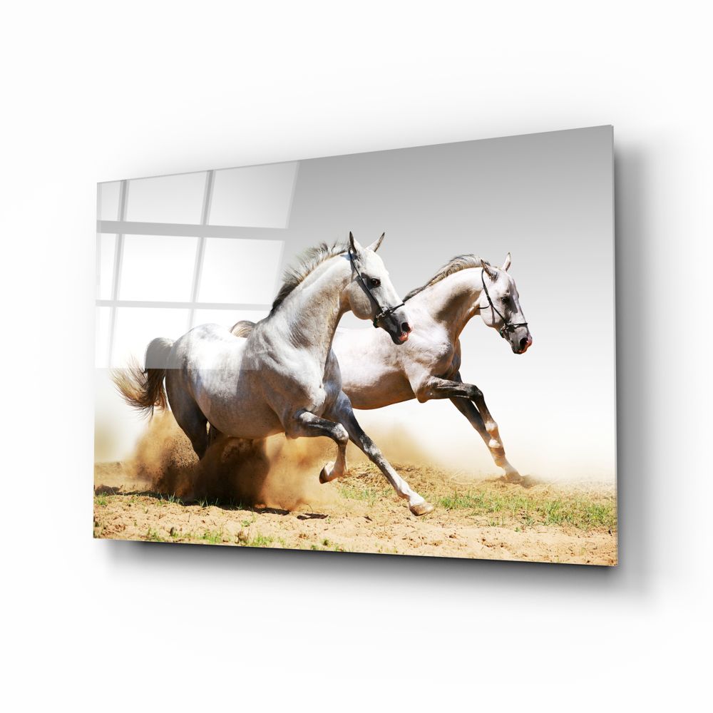 The Horses