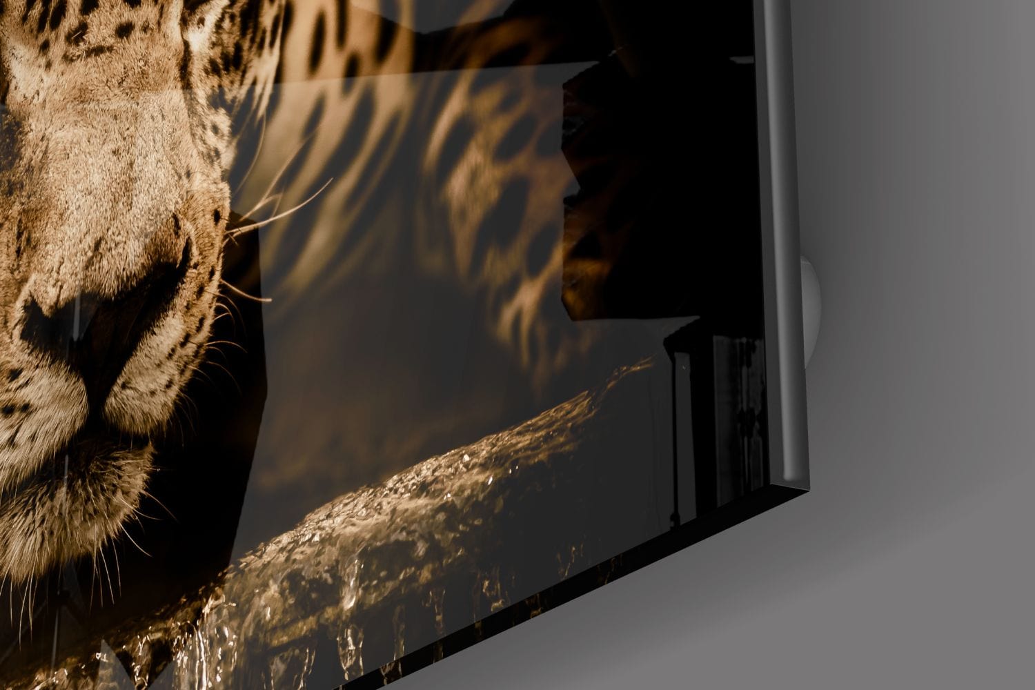 Artronauts Glass Print Leopard II