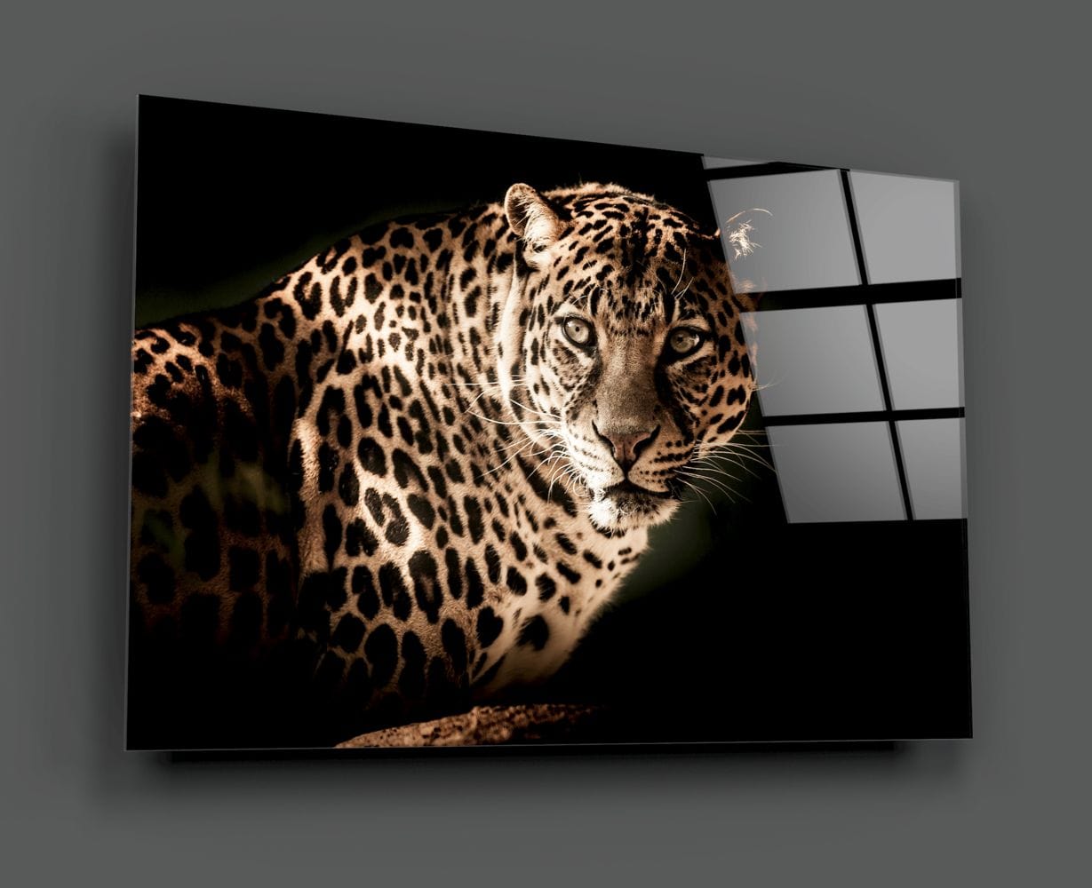 Artronauts Clearance T. Leopard III