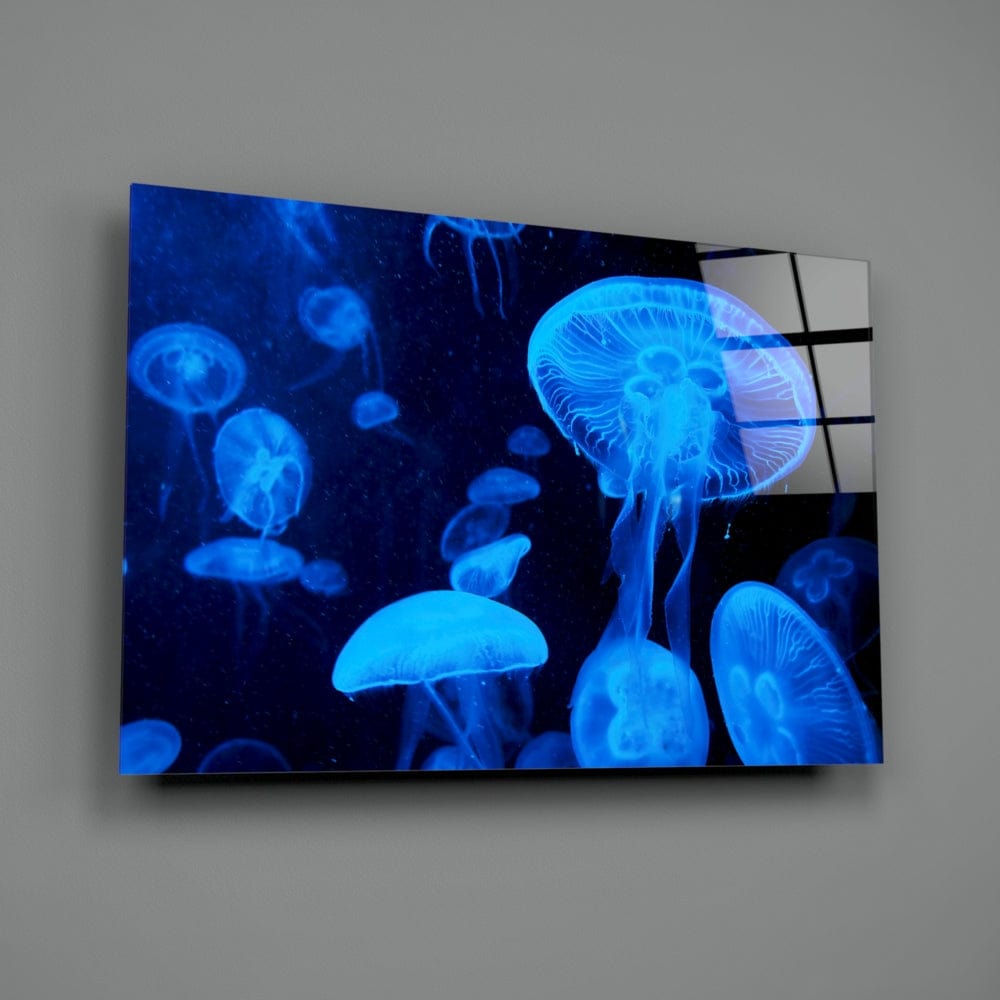 Artronauts Art Clearance T. Jellyfish