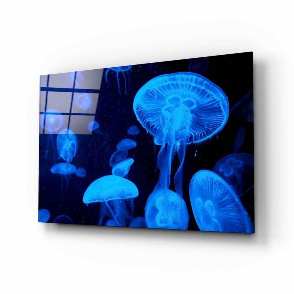 Artronauts Art Clearance T. Jellyfish