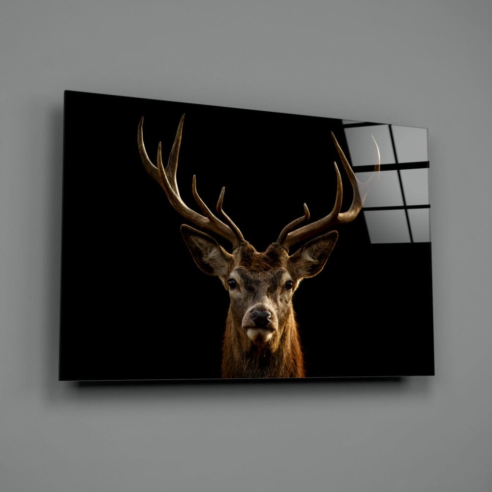 Artronauts Glass Print Deer