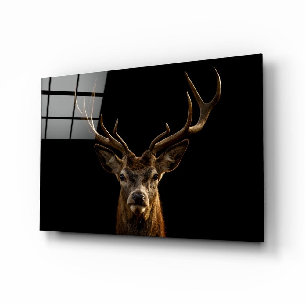 Artronauts Glass Print Deer