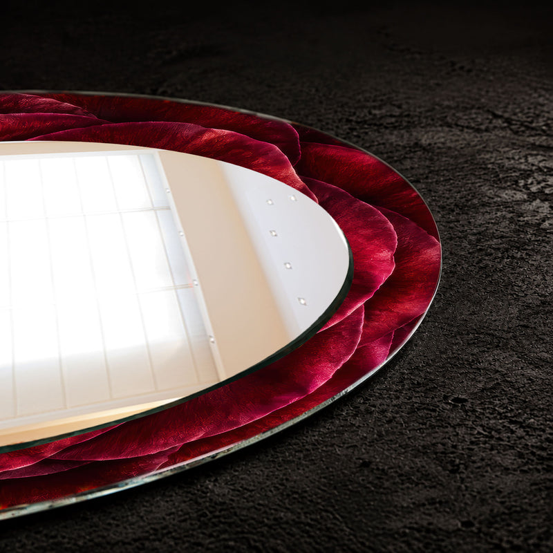 Crimson Rose Bloom lifestyle view