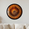 Timeless Tree Rings with black frame
