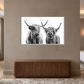 Highland Cow Duo with white frame