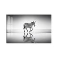 Reflecting Running Zebra product shot on white background