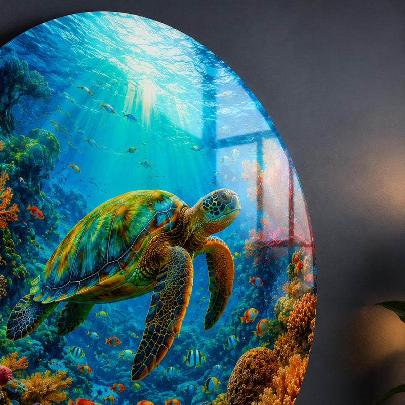 Vibrant Coral Sea Turtle lifestyle view