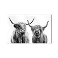 Highland Cow Duo product shot on white background