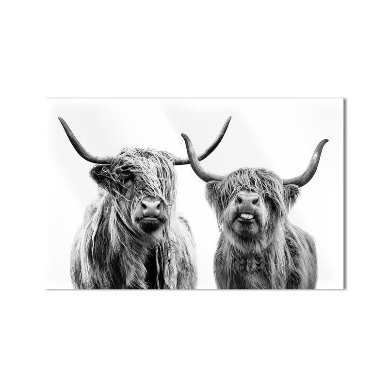 Highland Cow Duo product shot on white background