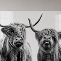 Highland Cow Duo lifestyle view