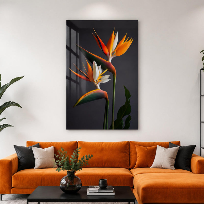 Bird Of Paradise Blooms lifestyle view